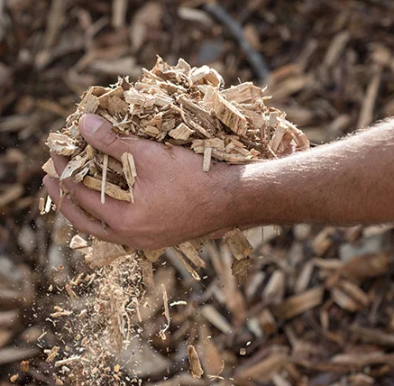 matiere premiere.webp matiere premiere.webp